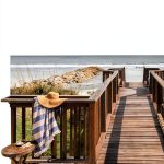 Nantucket Beach Plum Cove Kindle eBook Piping Plover Press Saga-0