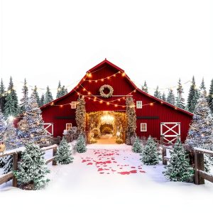 Carolina Christmas Book 3 - Amazon Kindle eBook Romance Holiday-0